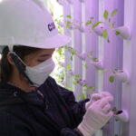 Climate-Smart Agriculture