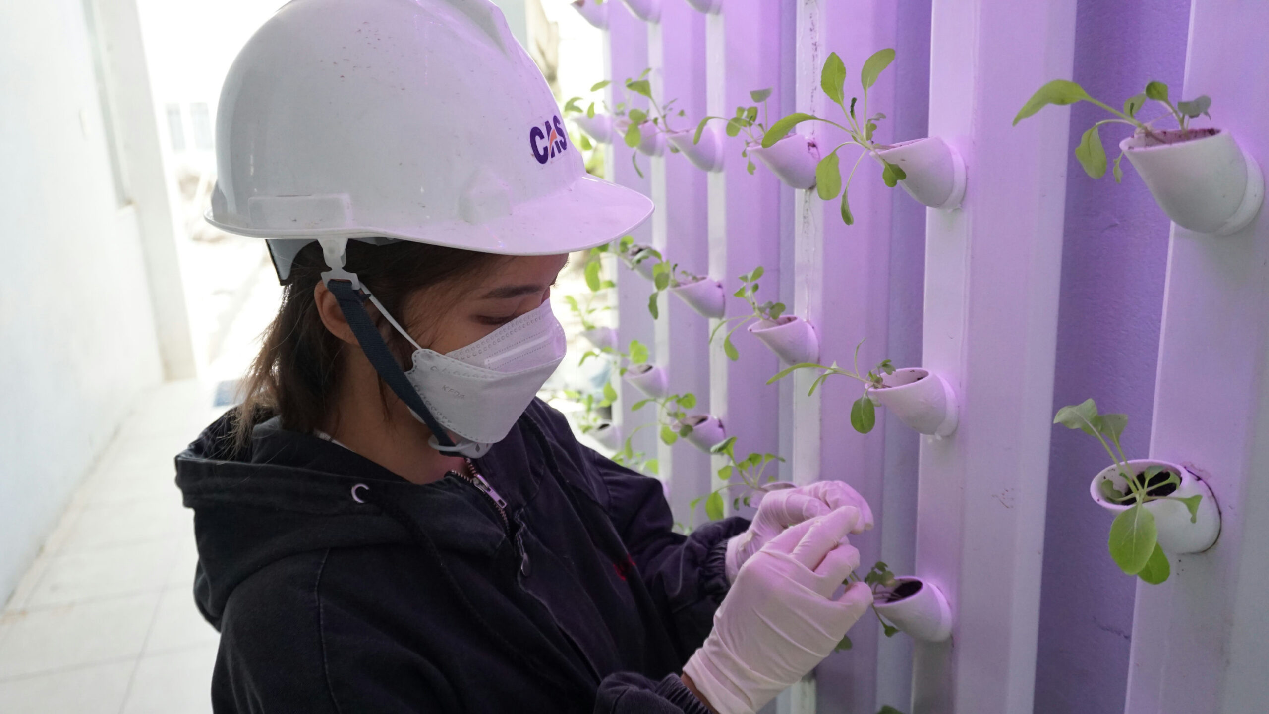 Climate-Smart Agriculture