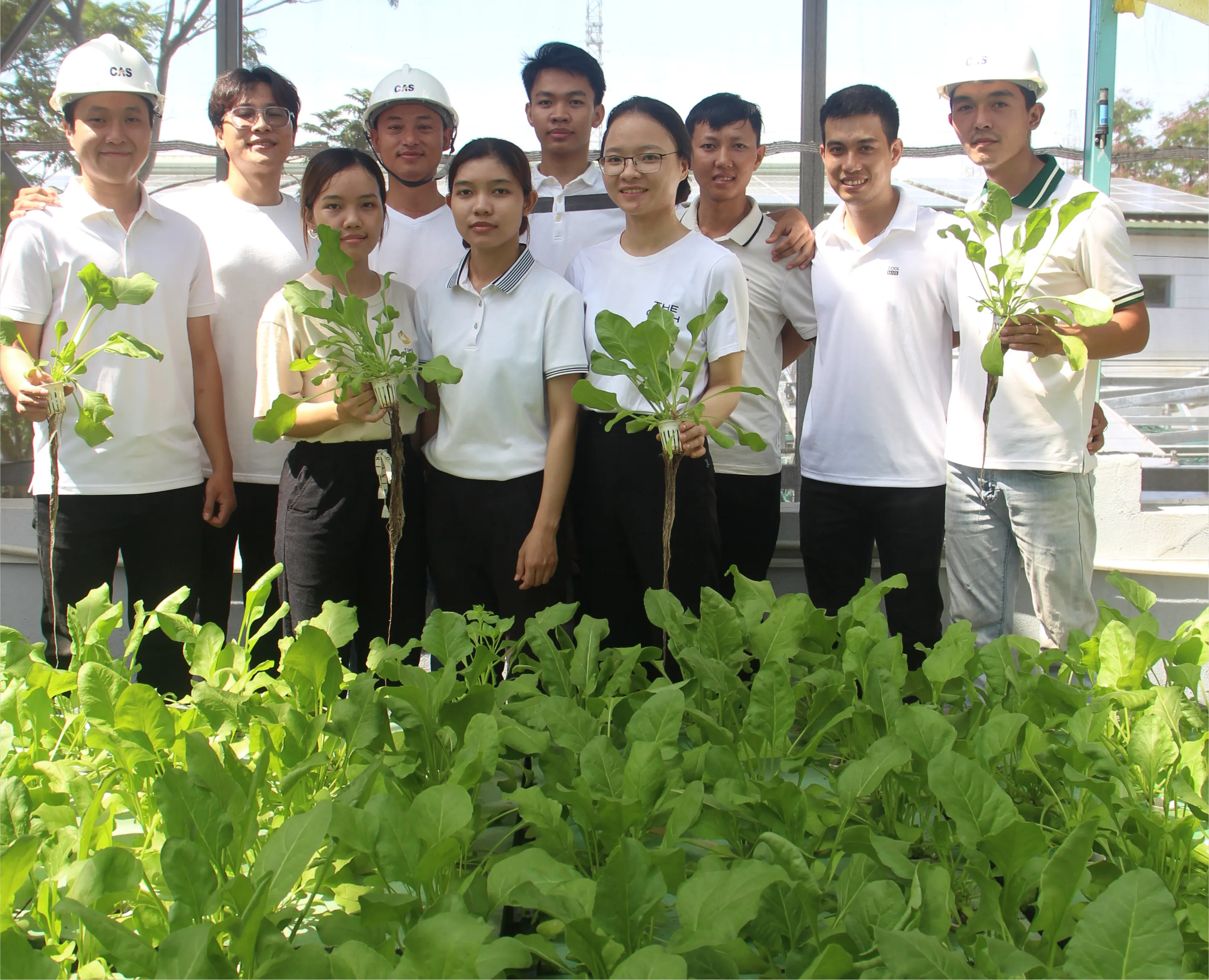 Environment & Agriculture team